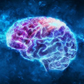 Neurological Exam and Screening: Clinical Pearls for the Nurse Practitioner