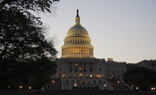Recent AANP Letter to Congress Expresses Support for ICAN Act