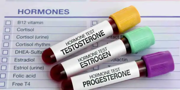 The NP’s Expanding Role in HRT: Get Certified and Unlock New Opportunities
